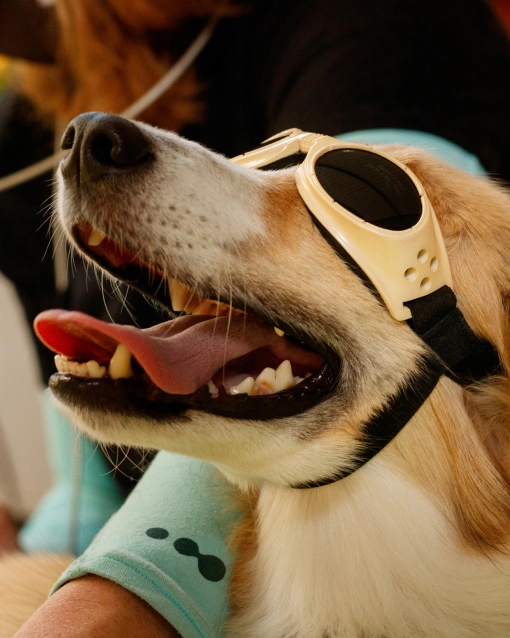 Precision Healing: Laser Therapy Experts, Charlotte