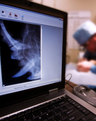 Diagnostic Care Services at Epic Tails Veterinary Clinic Charlotte NC
