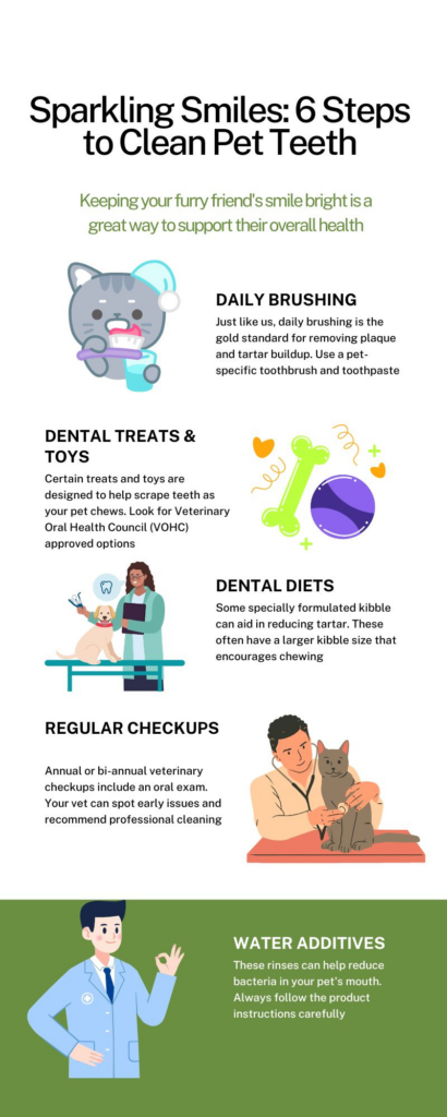A Bright Smile, Happy Pet: Essential Dental Care Tips