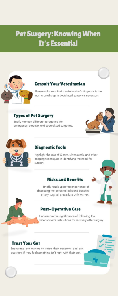 Pet Surgery: Knowing When It's Essential