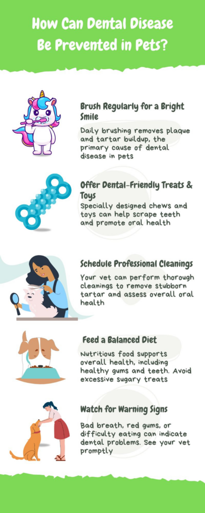 The Silent Threat: Recognizing and Preventing Dental Disease in Pets