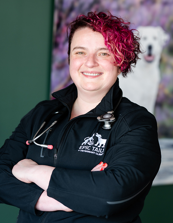 Best Veterinarian Near You In Charlotte,NC: Comprehensive Care, Close to Home