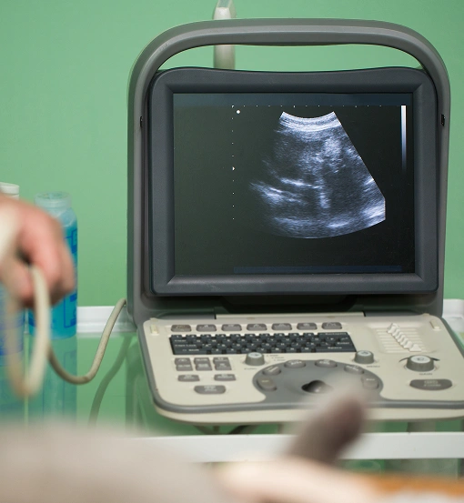 Diagnostic Clarity: Charlotte's Expert Pet X-rays